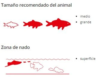 Sera Cichlid Red Nature Xl 7 Sera Cichlid Red Nature Xl - Imagen 5