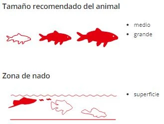 Sera Cichlids Sticks Nature 7 Sera Cichlids Sticks Nature - Imagen 5