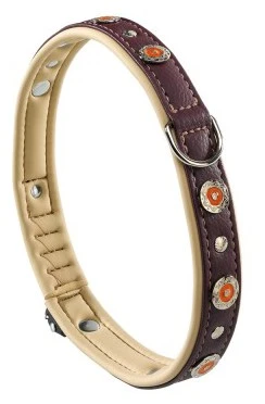 FERPLAST Circus Bordeaux