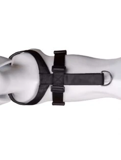 Collar Antiladridos Clix No Bark -Animalear Ventas coa29021b 3 624ebb227e33f