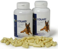 Colaid Para Problemas Gastrointestinales En Perros