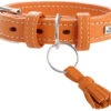 Hunter Collar Cannes Para Perros Color Naranja -Animalear Ventas collar cannes para perros color naranja 1