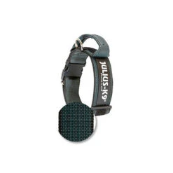 Julius K9 Collar Color & Gray IDC Con Asa Negro -Animalear Ventas collar color gray julius k9 idc con asa negro