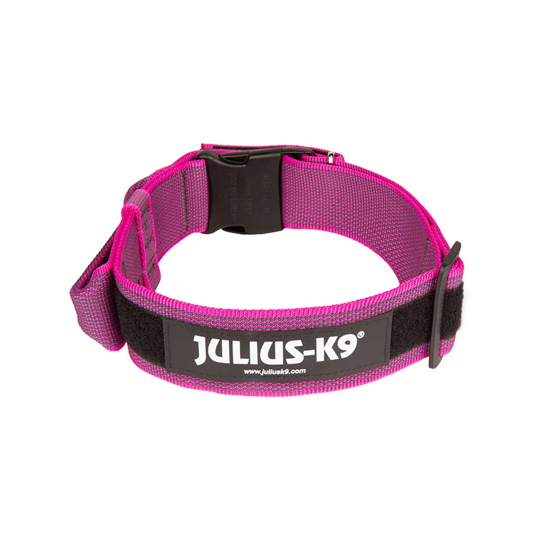 Julius K9 Collar Color & Gray IDC Con Asa Rosa 5 Julius K9 Collar Color & Gray IDC Con Asa Rosa - Imagen 3
