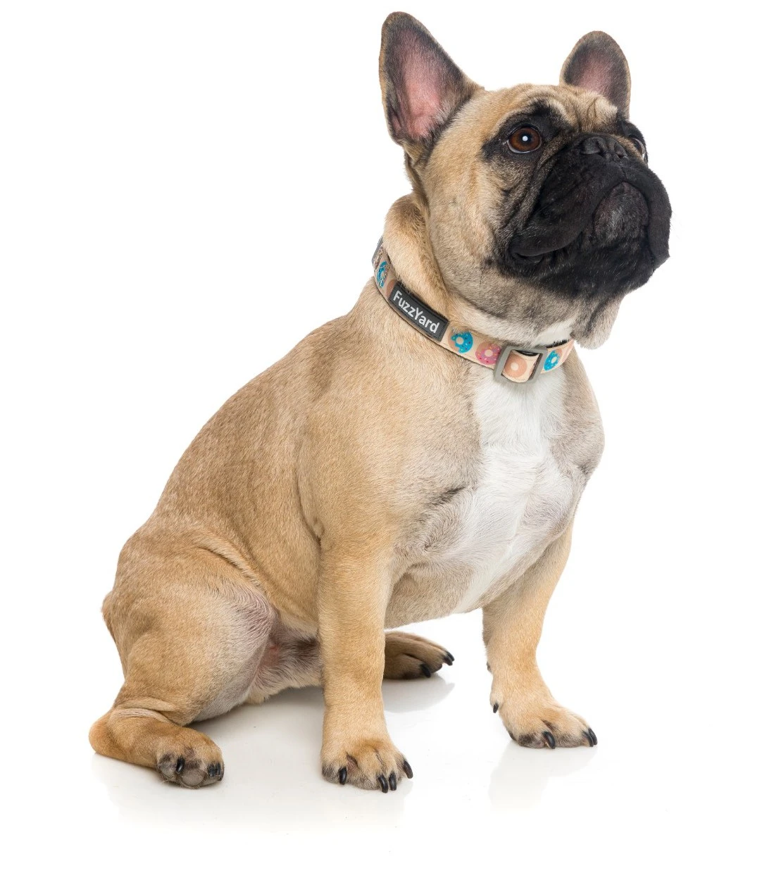 Fuzzyard Collar De Neopreno Go Nuts 4 Fuzzyard Collar De Neopreno Go Nuts - Imagen 2