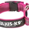Julius K9 Collar Color & Gray IDC Con Asa Rosa -Animalear Ventas collar juliusk9 para perro 62dfd55e8330c