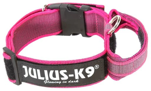 Julius K9 Collar Color & Gray IDC Con Asa Rosa 3 Julius K9 Collar Color & Gray IDC Con Asa Rosa