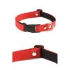 Collar Martin Sellier Micro-nylon Rojo & Negro -Animalear Ventas collar martin sellier micro nylon rojonegro