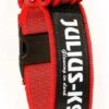 Julius K9 Collar Color & Gray IDC Con Asa Rojo -Animalear Ventas collar rojo juliusk9 62dfd64a896e1