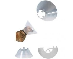 Ferribiella Collar Isabelino 9 Ferribiella Collar Isabelino -Animalear Ventas collardog 628d15b4a568e