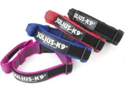 Julius K9 Collar Color & Gray IDC Con Asa Negro -Animalear Ventas collares de colores juliusk9 62dfd5ef1202a