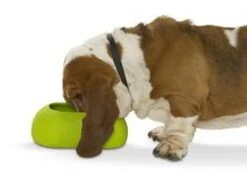 KRUUSE Comedero Antideslizante Incredibowl 1 L 11 KRUUSE Comedero Antideslizante Incredibowl 1 L -Animalear Ventas comedero antideslizante incredibowl 1 l 5