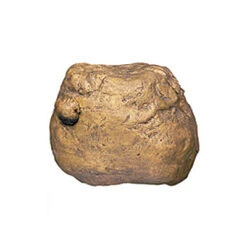 EXO TERRA Comedero Dispensador De Grillos Feeding Rock -Animalear Ventas comedero dispensador de grillos feeding rock exo terra