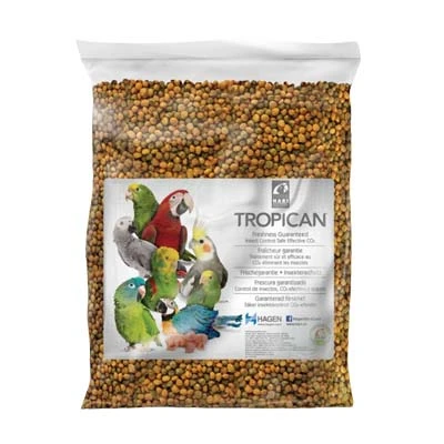 Comida De Mantenimiento Para Loros 5 Comida De Mantenimiento Para Loros - Imagen 3