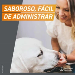 Comprimidos Masticables Antisitarios Perros De 4 A 10 Kg (28 Mg) 19 Comprimidos Masticables Antisitarios Perros De 4 A 10 Kg (28 Mg) -Animalear Ventas comprimido mastigavel contra pulgas e carracas para caes de 2 a 4 kg frontpro 2 63d9739a786fd
