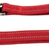 Nayeco Correa Adiestramiento Nylon Reflectante Rojo
