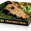 EXO TERRA Crocodile Skull -Animalear Ventas crocodile skull 1