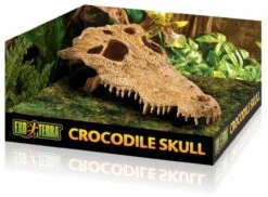 EXO TERRA Crocodile Skull