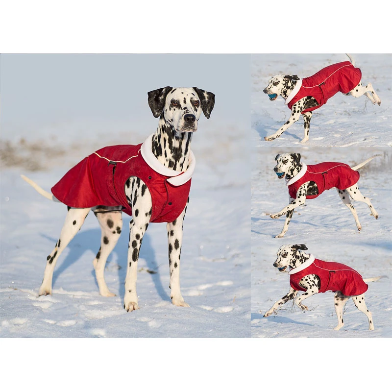 Red Dingo Impermeable Perfect Fit Para Perros Rojo 4 Red Dingo Impermeable Perfect Fit Para Perros Rojo - Imagen 2