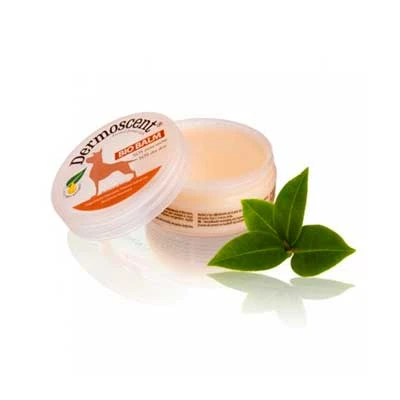 Dermoscent Bio Balm Reparador Cutáneo 3 Dermoscent Bio Balm Reparador Cutáneo