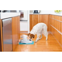 Fuente Platinum -Animalear Ventas drinkwell platinum 3