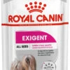 ROYAL CANIN Pack 12 Exigent 1 ROYAL CANIN Pack 12 Exigent -Animalear Ventas exigent 1