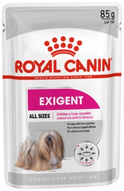 ROYAL CANIN Pack 12 Exigent