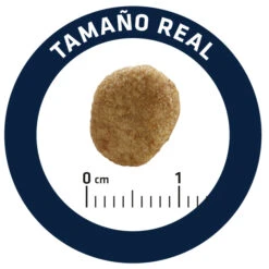 Advance Feline VD Obesity Management -Animalear Ventas feline vd obesity management 5 4