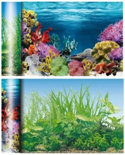 Fondo Caribe Estanque