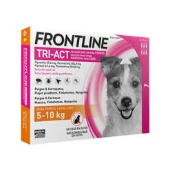 Frontline Pipetas Tri-Act Solución Spot-On Para Perros De 5-10 Kg 14 Frontline Pipetas Tri-Act Solución Spot-On Para Perros De 5-10 Kg -Animalear Ventas frontline tri act 5 10 kg 6 pipetas
