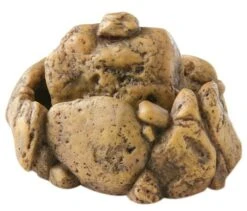 EXO TERRA Fuente Para Reptiles