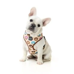 Fuzzyard Arnes Go Nuts -Animalear Ventas fuzzyard harness gonuts dog 2 622b13ed36912