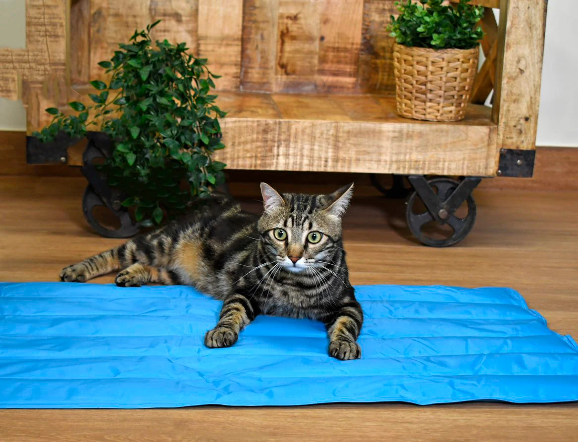 Manta Refrescante Cool Mat Azul Light Para Perros Y Gatos 6 Manta Refrescante Cool Mat Azul Light Para Perros Y Gatos - Imagen 4