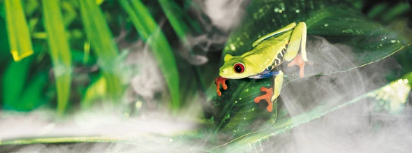 EXO TERRA Generador De Niebla Fogger 4 EXO TERRA Generador De Niebla Fogger - Imagen 2