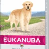 EUKANUBA Golden Retriever -Animalear Ventas golden retriever 1