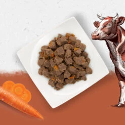 Beyond Pack 12 Grain Free Perro Buey 8 Beyond Pack 12 Grain Free Perro Buey -Animalear Ventas grain free perro buey 3