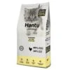 Kitten De Pollo -Animalear Ventas hantu cat kitten starting chicken front 6368dff0a517f