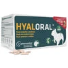 Hyaloral Razas Pequeñas Y Medianas