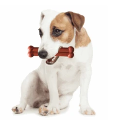 Bone Ternera Asada Y Vino Tinto -Animalear Ventas image qp 3 6349154872eda