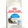 ROYAL CANIN Indoor Long Hair 35 Pienso Para Gato Adulto De Interior Pelo Largo -Animalear Ventas indoor long hair 1