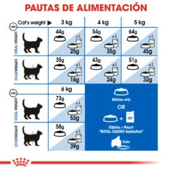 ROYAL CANIN Indoor Long Hair 35 Pienso Para Gato Adulto De Interior Pelo Largo -Animalear Ventas indoor long hair 7