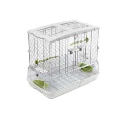 Vision Jaula Mediana Para Pájaros M01