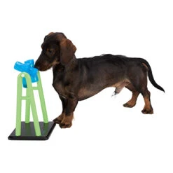 Trixie Juguete Educativo Dog Activity Turn Around 9 Trixie Juguete Educativo Dog Activity Turn Around -Animalear Ventas juguete educativo dog activity turn around perro