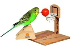Juguete Para Aves Street Ball