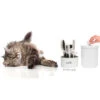 Catit Kit De Grooming Para Gatos De Pelo Corto Y Largo 2 Catit Kit De Grooming Para Gatos De Pelo Corto Y Largo -Animalear Ventas kit de belleza para gatos de pelo largo catit