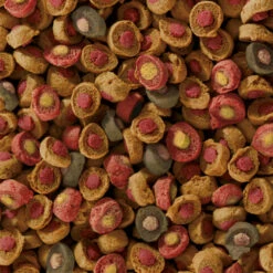 Sera Koi All Seasons Probiotic -Animalear Ventas koi all seasons probiotic 4 4