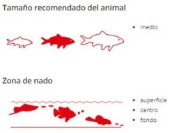 Sera Koi Royal Medium -Animalear Ventas koi royal medium 5 5