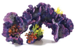 Large Coral Garden 315mm