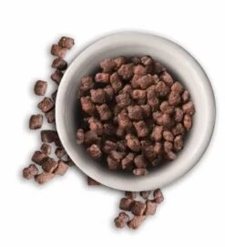 Leonardo Pienso Kitten -Animalear Ventas leonardo kitten pienso 62fcf50745e85