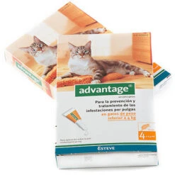 Advantage Pipetas Para Gatos -4 Kg (40ml) -Animalear Ventas menos4kg 6232243c6e716